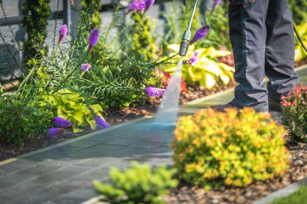 Professional Pressure Washing Services in Walnut, IL