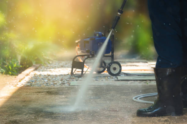 Best Solar Panel Cleaning  in Walnut, IL